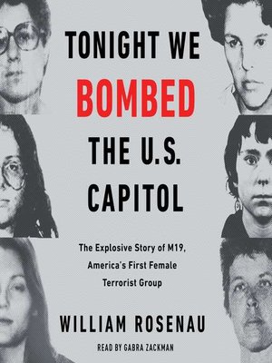 cover image of Tonight We Bombed the U.S. Capitol